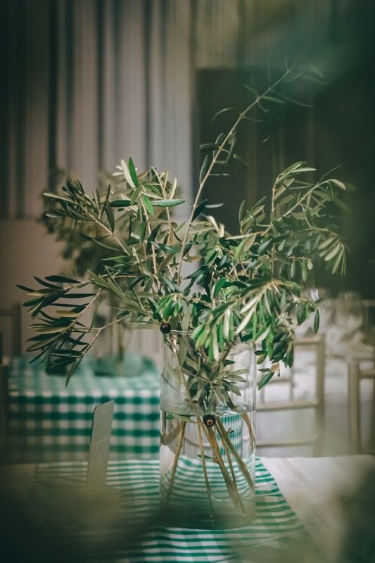 Centro de mesa com ramo de oliveira